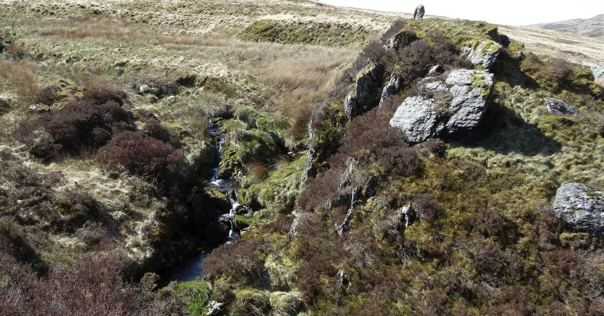 RachelSeabrook.net | Wild Walking | Pumlumon-Maesnant | pic06